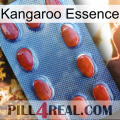 Kangaroo Essence 06